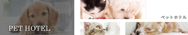 ペットホテル