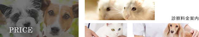 診察料金