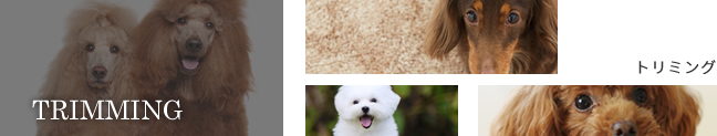 トリミング