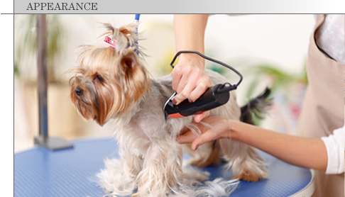 トリミングコース