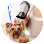 カット・仕上げ